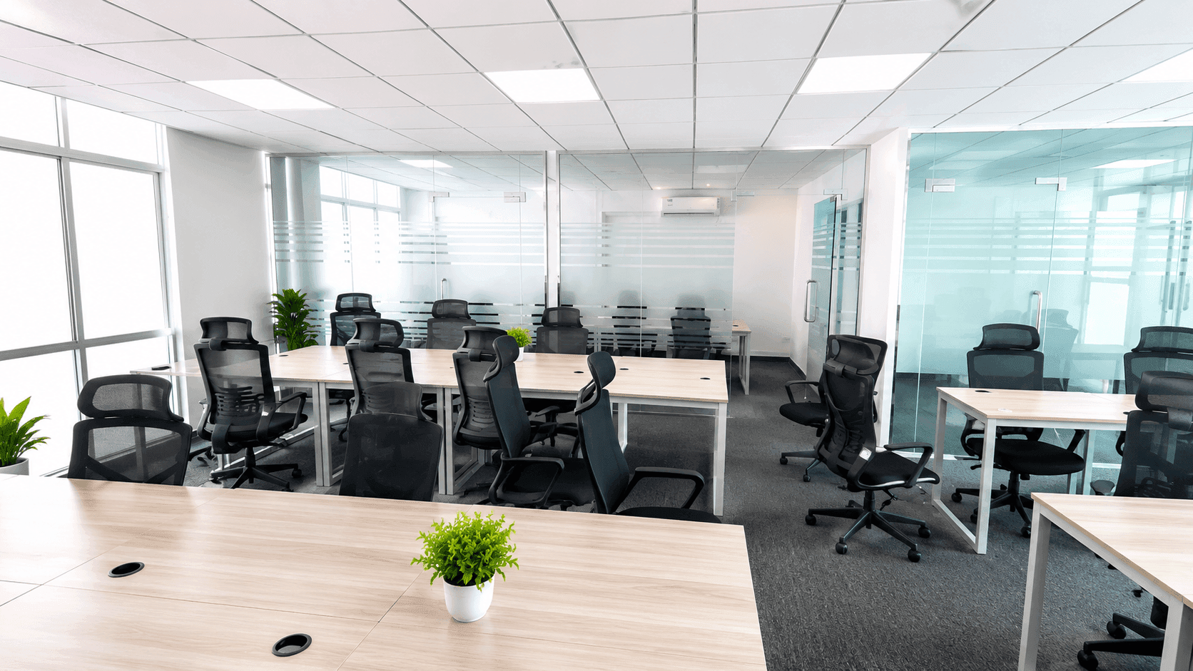Commercial Office Space for Rent
